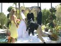 wedding blooper hilarious!