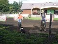 Seep and Dog Show (3)