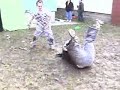 Clips of the KiddKrash and krowe feud