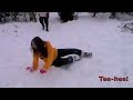 Brandy in the Snow