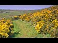 Walking Meditation - Portwrinkle to Downderry ...