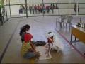 videos de Peça teatral - Religiões Africanas.wmv