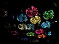 KALEIDOSCOPE LIGHT