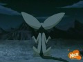 avatar the last airbender - all star