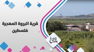 قرية البروة المهجرة - فلسطين - حلوة يا دنيا قرية البروة المهجرة - فلسطين - حلوة يا دنيا