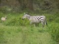 Travelling Trav - African Trip - Part 4 (Kenya)