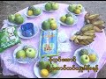 ၀ါတြင္းဒိုးသံ