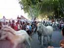 lâcher de 100 chevaux lâcher de 100 chevaux