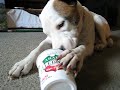 buster and the lebane tub, part 2