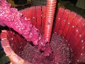 Prensa Vertical para el Vino