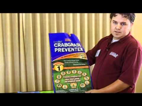 how to fertilize new grass seed