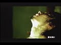 ??? Van Ness Wu, Fading Into You/?????