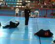 videos de Técnicas de Defensa Personal Mujeres (Azuqueca, Mayo 2008)