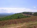 Vinogradi Princa Tomislava na Oplencu
