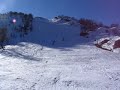 il mordente che sguazza sulla neve