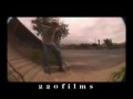 Skate Movie Comedy PL