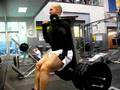 Plate-Loaded-Squat-M