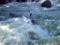 Lower Kern-Hari Kari