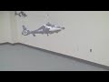 4ch Walkera Airwolf RC Helicopter 4ch Walkera Airwolf RC Helicopter