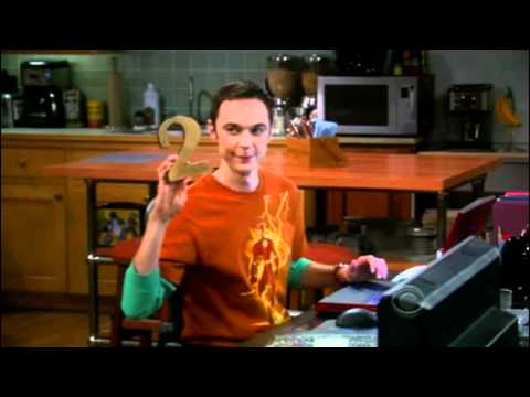 bitches - Out of: The Big Bang Theory Season 4 Episode 7