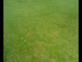 Lo pibe jugando en Pressing 2