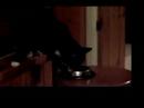 Late: A 2 minute film. Late: A 2 minute film.