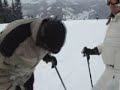 john-o-farrelly-learn-to-ski.html
