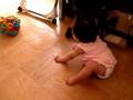 Tianto crawls like a turtle (甜豆象乌龟一样爬)