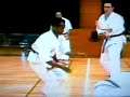 William Oliver Seido fighting Technique