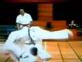 William Oliver Seido fighting Technique