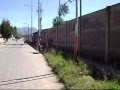 SKATE CHIMAL