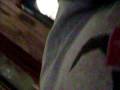 videos de funny stuff 077
