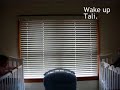 Crib Talkers Crib Talkers