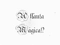 O c�digo de Mozart