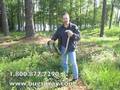 Giant 6 foot long Black Rat Snake