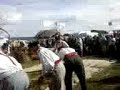 les battous du cotentin...foire de lessay 2008