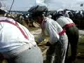 les battous du cotentin...foire de lessay 2008