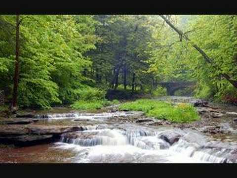 musique relaxante t'ai chi the spirit of vitality