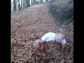 monster_czantoria.wmv