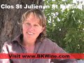  f  catherine papon nouvel at clos st julien st emilion