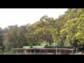 Steve_smegga42_Align_500_3D.mp4