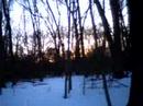 stupid woods part 2