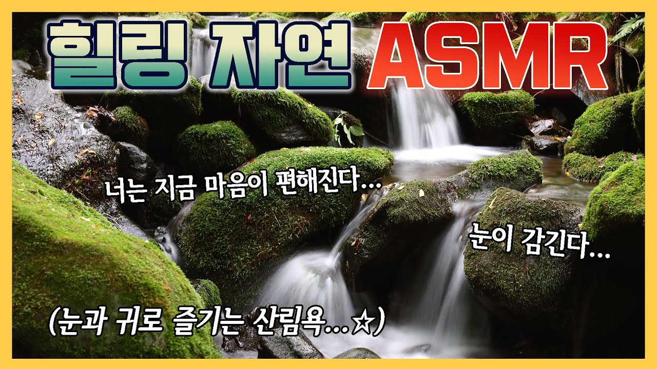 [락희만TV] [4K] ASMR-바쁜 일상에서 지친 마음을 치유하는 자연의 소리