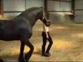 Frison Reims, France