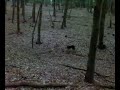 Mein Hund der Idiot :D