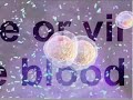 Rabies Vaccine