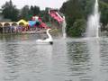 VALKENIER (NL) FAMILY PARK II