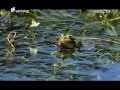 Mondego, um documentário de Daniel Pinheiro