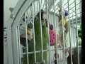 Ren familieidyl Ren familieidyl