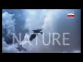 Television advert for Poland